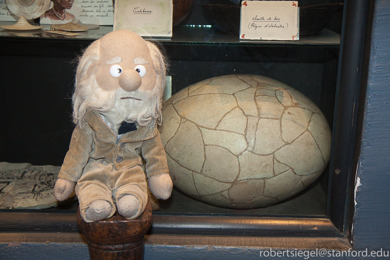 darwin with elephant bird egg